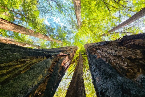 2026 Climate Impact Report