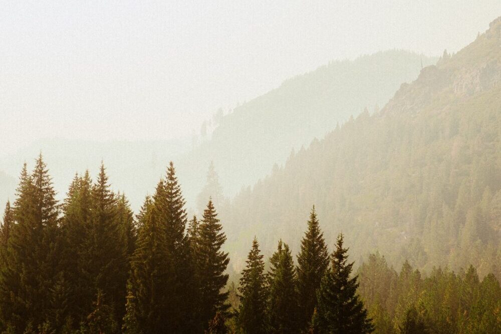 Fires, Air Quality and Climate